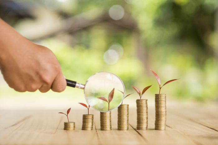 A hand holding a magnifying glass up to a stack of coins with a sprouted leaf coming out of the top
