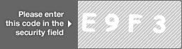 captcha code for visual authentication  letter E number 9 letter F number 3